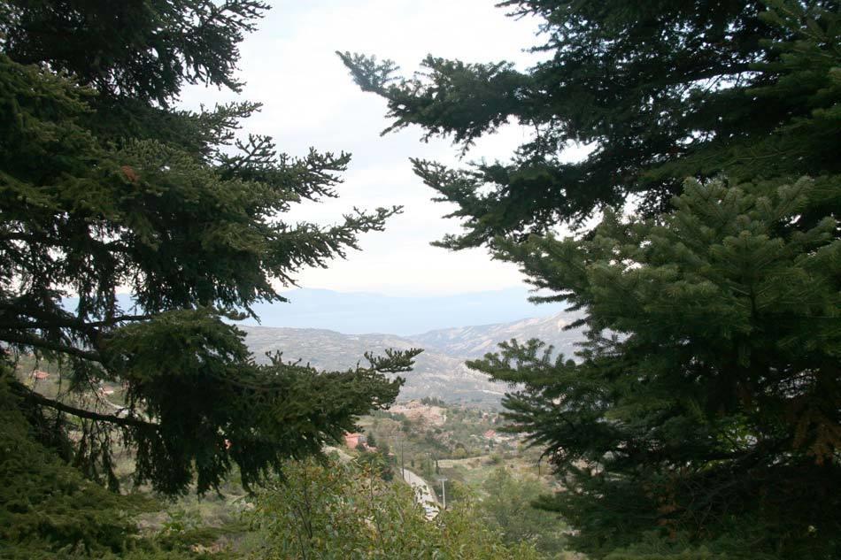 Pigi Tarlampa Hotel Ano Trikala Eksteriør bilde